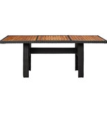 VidaXL 11-delige Tuinset poly rattan zwart