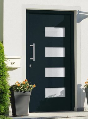 VidaXL Voordeur 110x210 cm aluminium en PVC antraciet