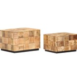 VidaXL Salontafels 2 st blokontwerp ruw mangohout