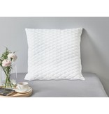 VidaXL Kussens 2 st 80x80x14 cm traagschuim