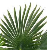 vidaXL Kunstplant met pot palm 70 cm groen