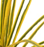 vidaXL Kunstplant met pot dracaena 125 cm geel