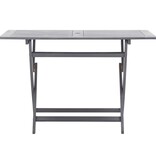 VidaXL 5-delige Tuinset massief acaciahout grijs