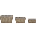 VidaXL Plantenbakken verhoogd 3 st wicker met PE-voering