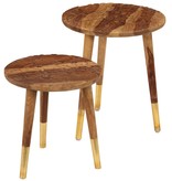 VidaXL Salontafels 2 st massief sheeshamhout