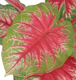 vidaXL Kunst caladium plant met pot 70 cm groen en rood