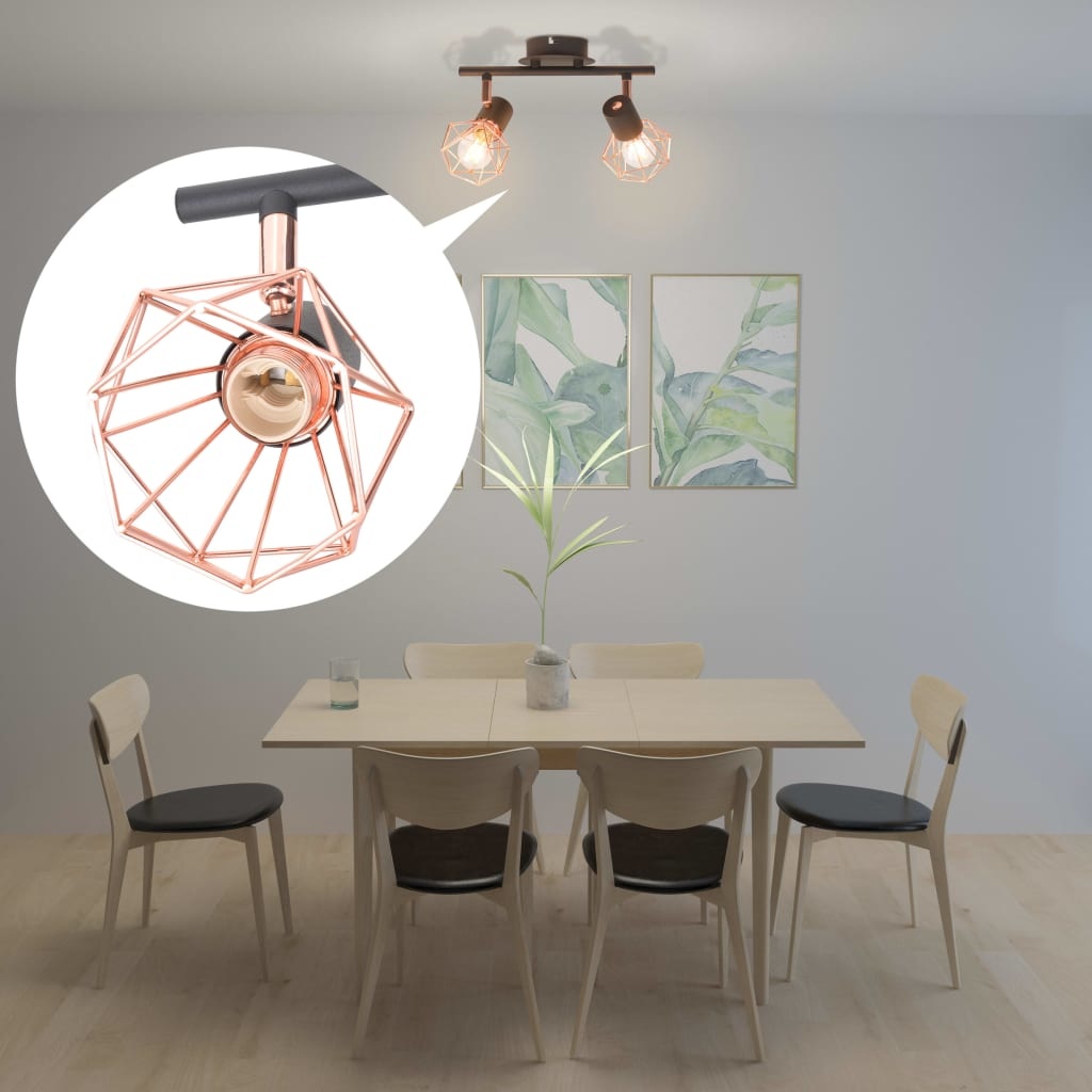 VidaXL Plafondlamp met 2 spotlights E14 zwart en koper