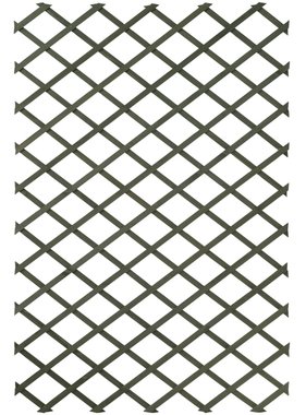VidaXL Tuinlatwerken 2 st 50x150 cm hout groen