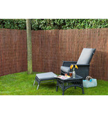 VidaXL 2 st Tuinschermen 1x5 m 5 mm dik wilgen