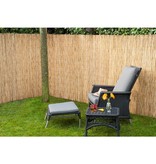 vidaXL Tuinschermen 2 st 500x100 bamboo riet