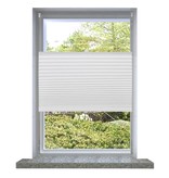 VidaXL Plisséjaloezie 100x100 cm wit