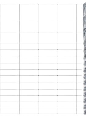 VidaXL Hek 50x1,6 m gegalvaniseerd staal zilverkleurig