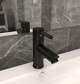 VidaXL Wastafelkraan 130x176 mm zwart