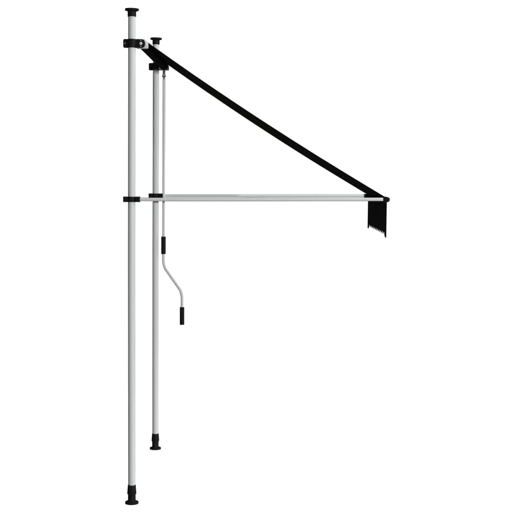 VidaXL Luifel handmatig uittrekbaar 100 cm antraciet
