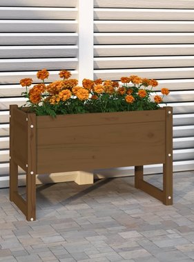 vidaXL Plantenbak 78x40x52 cm massief grenenhout honingbruin