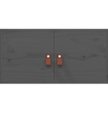 VidaXL Wandkasten 2 st 60x30x30 cm massief grenenhout grijs