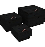 VidaXL Opbergboxen met deksels 3 st massief grenenhout zwart