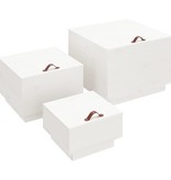 VidaXL Opbergboxen met deksels 3 st massief grenenhout wit