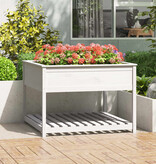 VidaXL Plantenbak met schap 111,5x111,5x81 cm massief grenenhout wit