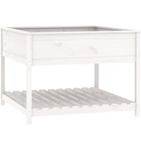 VidaXL Plantenbak met schap 111,5x111,5x81 cm massief grenenhout wit