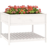 VidaXL Plantenbak met schap 111,5x111,5x81 cm massief grenenhout wit