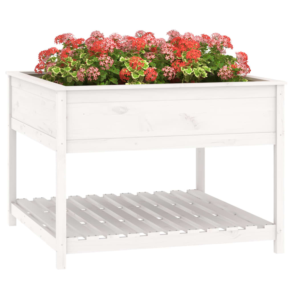 VidaXL Plantenbak met schap 111,5x111,5x81 cm massief grenenhout wit