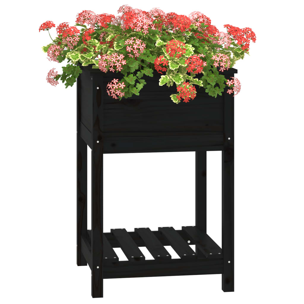 VidaXL Plantenbak met schap 54x54x81 cm massief grenenhout zwart