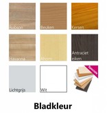 Bureau Vergadertafel O-Poot
