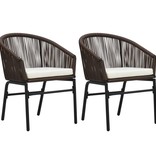 VidaXL Tuinstoelen 2 st PE-rattan bruin