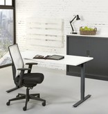 Hoogte verstelbaar T-poot Bureau Design