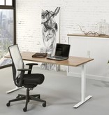 Hoogte verstelbaar T-poot Bureau Design