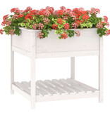 VidaXL Plantenbak met schap 82,5x82,5x81 cm massief grenenhout wit