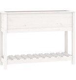 VidaXL Plantenbak met schap 111,5x34,5x81 cm massief grenenhout wit