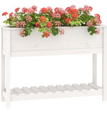 VidaXL Plantenbak met schap 111,5x34,5x81 cm massief grenenhout wit
