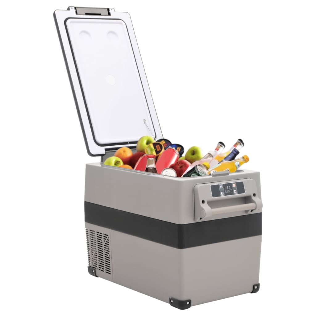 VidaXL Koelbox met handvat 55 L PP & PE zwart en grijs