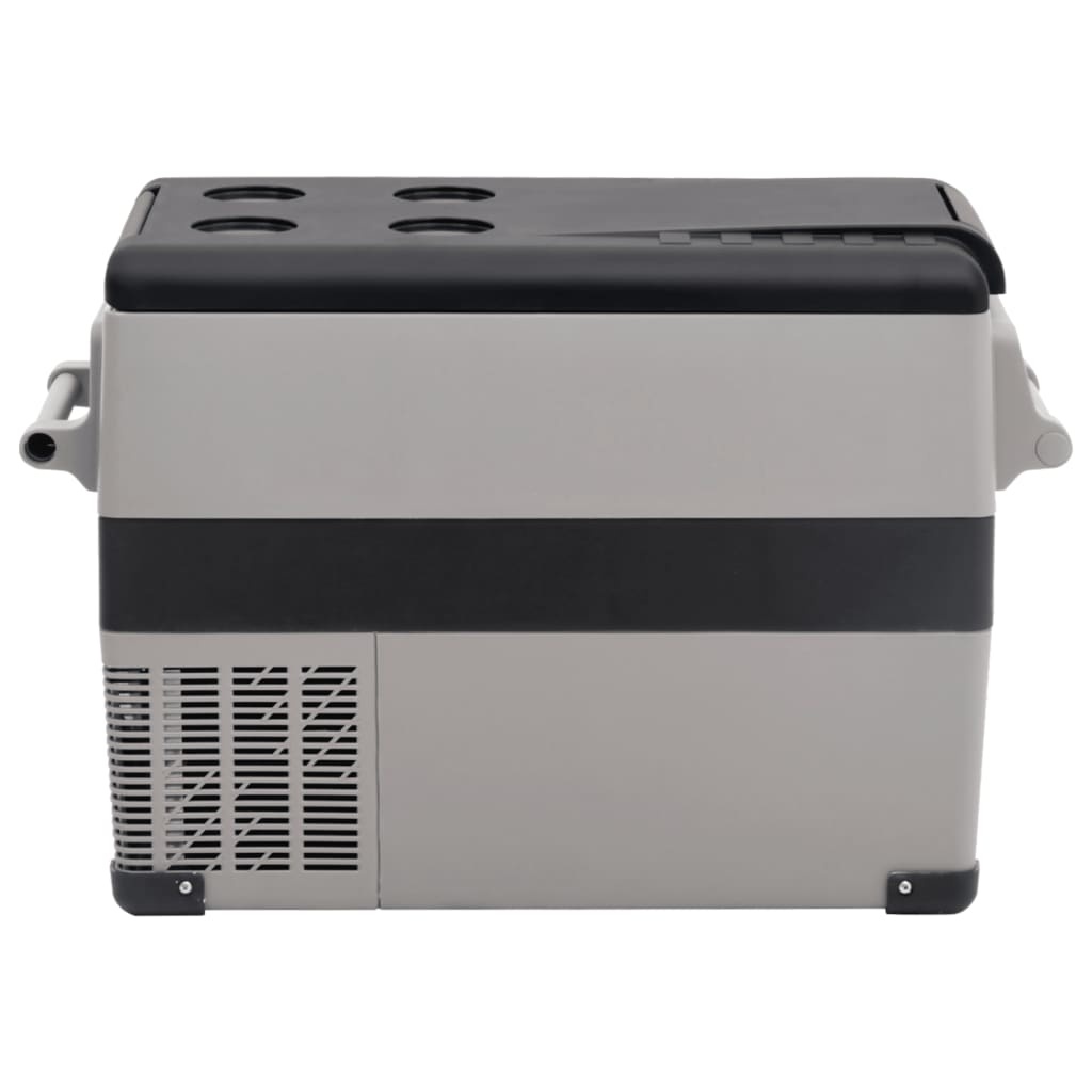 VidaXL Koelbox met handvat 35 L PP & PE zwart en wit