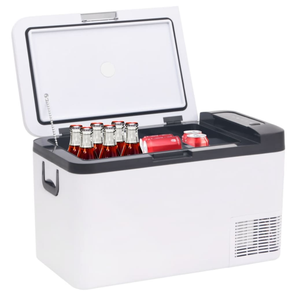 VidaXL Koelbox met handvat 18 L PP & PE zwart en wit