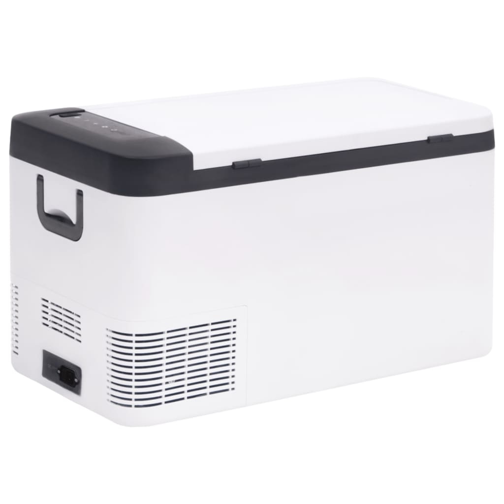 VidaXL Koelbox met handvat 18 L PP & PE zwart en wit