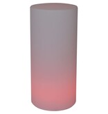 vidaXL Vloerlamp LED oplaadbaar buis 80 cm