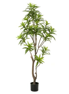 Kunstplant dracaena 155 cm groen