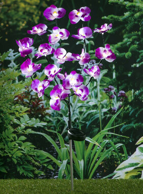 vidaXL Tuinlamp orchidee solar LED 75 cm