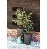 vidaXL Bloempot Nature Row elegant laag 46x58 cm olijfgroen