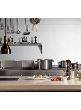 vidaXL 5 st Wandtegels Gx Wall+ steen 45x90 cm wit