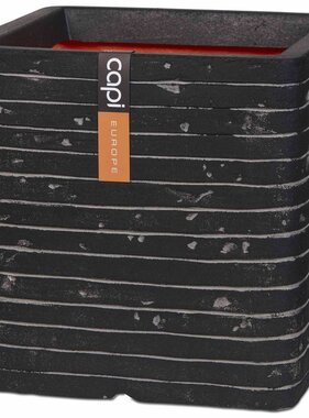 VidaXL Plantenbak Nature Row vierkant 30x30 cm antraciet KRWZ902