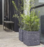 VidaXL Plantenbak Nature Row vierkant 30x30 cm antraciet KRWZ902