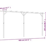 vidaXL Pergola 400x40x205 cm hout