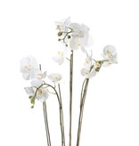 vidaXL Kunstplant orchidee met mos wit 90 cm 20.355
