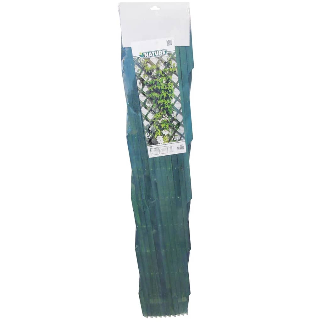 vidaXL Plantenklimrek 100x200 cm hout groen 6041704