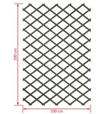 vidaXL Plantenklimrek 100x200 cm hout groen 6041704