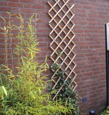 vidaXL Latwerk voor tuin 100x200 cm bamboe 6040722